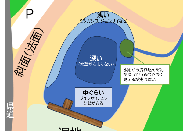 r 池の概略 r 池の概略