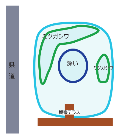概略図 概略図