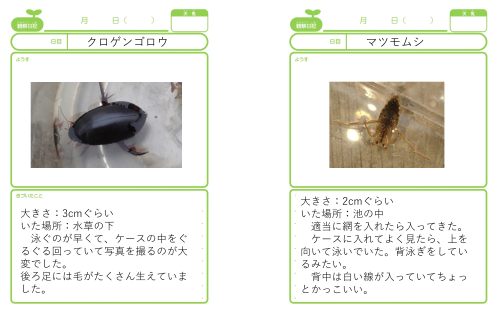 r 図鑑2 r 図鑑2