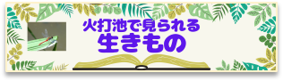 生きものバナーr